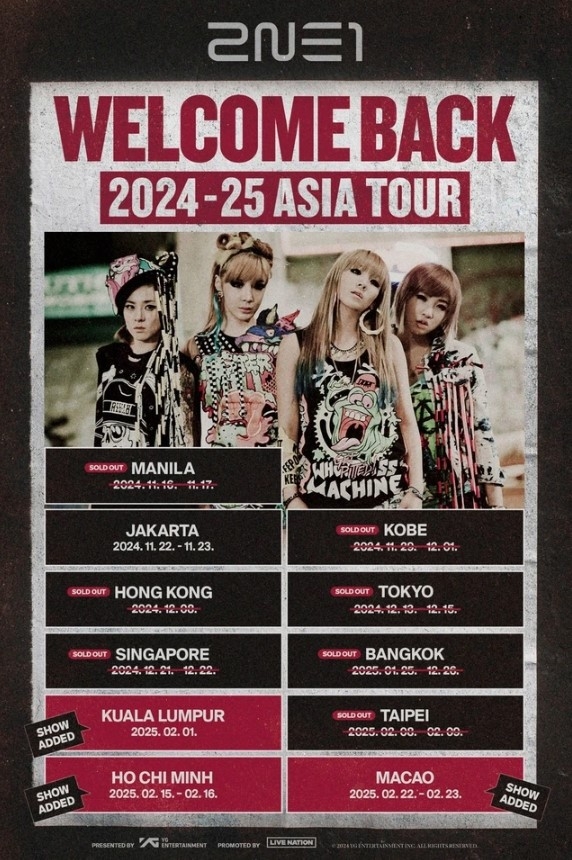 2ne1 returns to vietnam picture 1