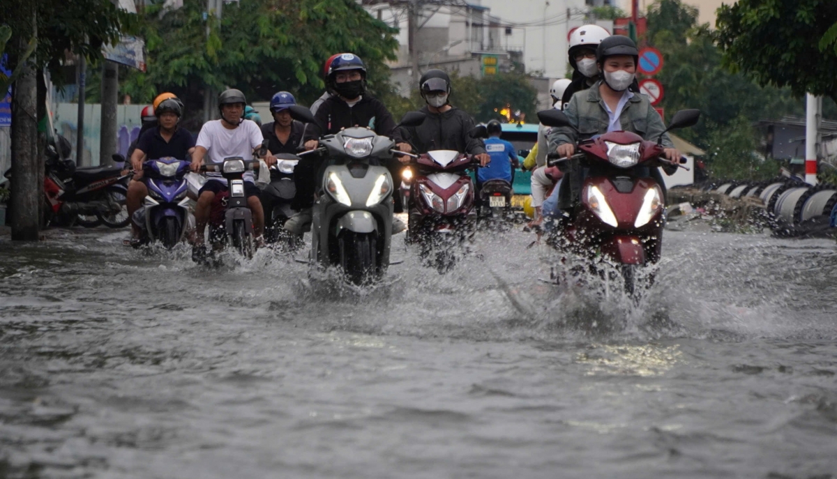 trieu cuong dat dinh gay ngap nhieu tuyen duong o tp.hcm hinh anh 4