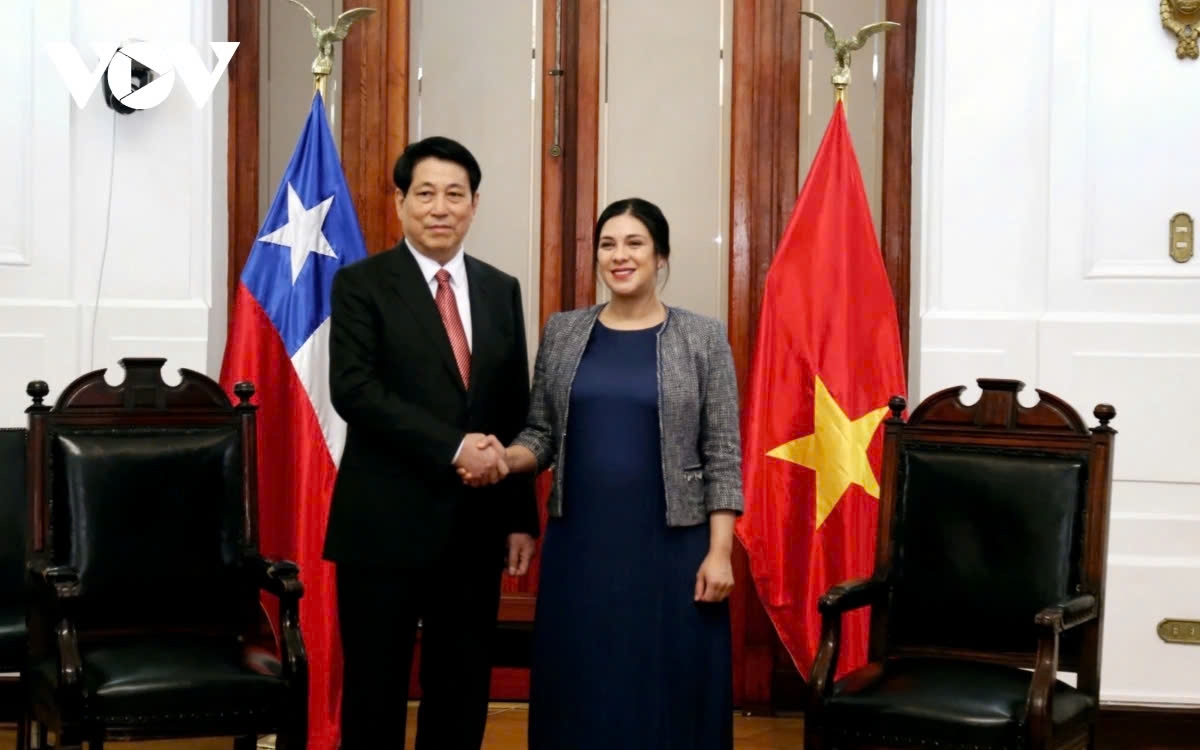 vietnamese president luong cuong s chile visit in the spotlight picture 8 vietnamese president luong cuong s chile visit in the spotlight picture 8