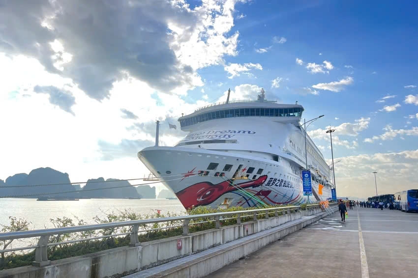 cruise ship blue dream melody brings 1,100 chinese tourists to ha long picture 1