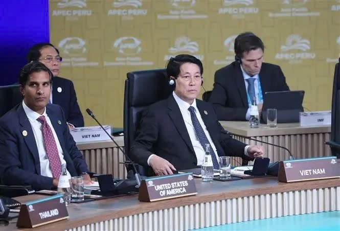 address by vietnamese state president luong cuong at 31st apec economic leaders meeting picture 1 address by vietnamese state president luong cuong at 31st apec economic leaders meeting picture 1