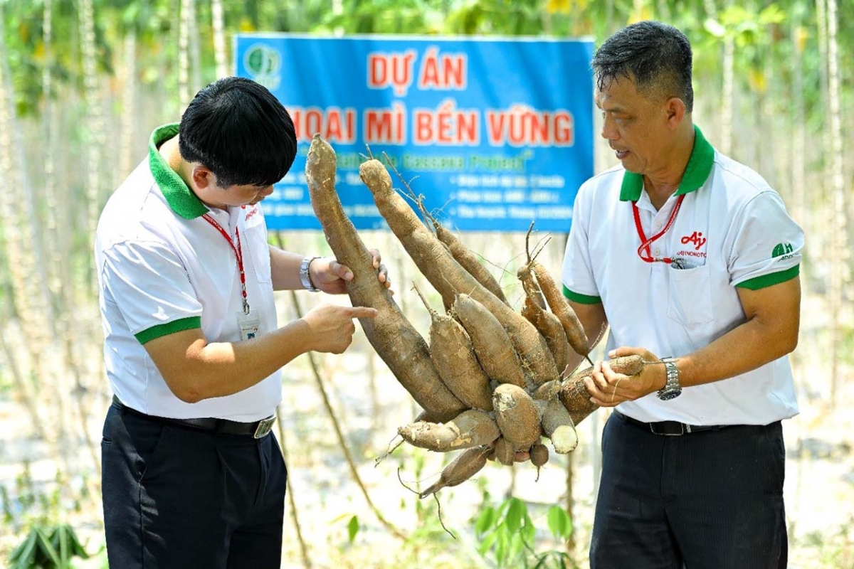 hat nem aji-ngon heo giam muoi giai phap ly tuong cho bua an giam man van ngon hinh anh 6