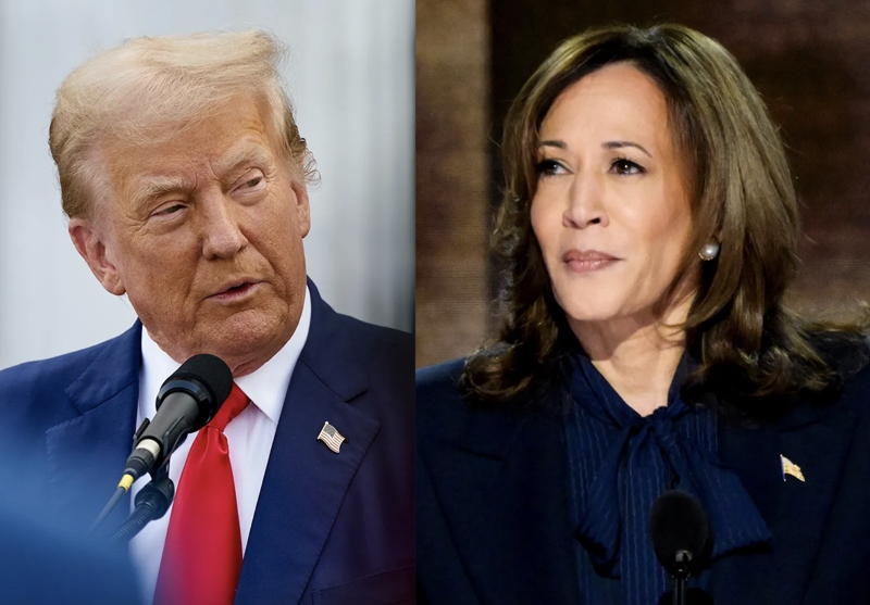 Bà Harris và ông Trump tập trung thu hút cử tri tại “Vành đai mặt trời"