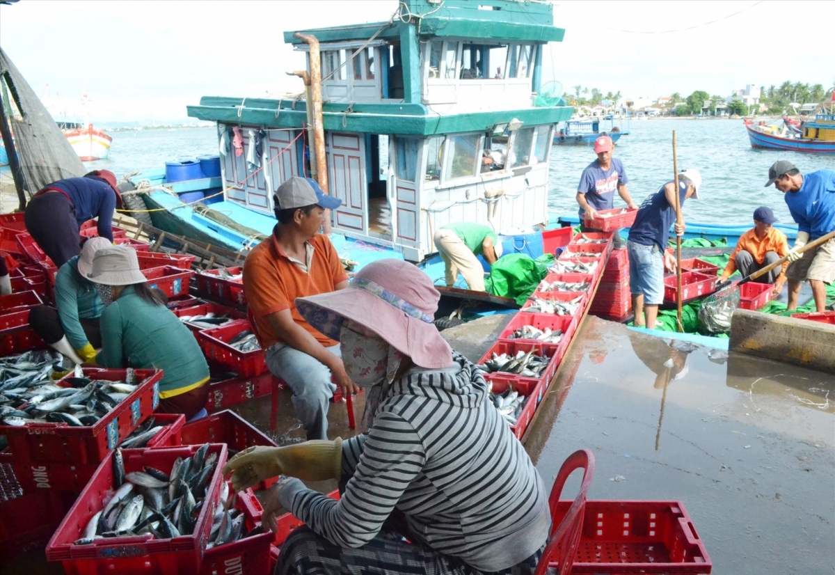 chuyen doi so cho ngu dan thu thach va quyet tam cua cac dia phuong hinh anh 3