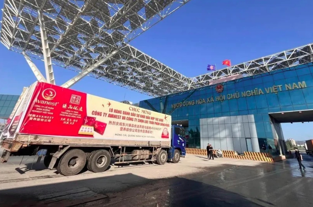 shipment of bird s nests exported to china through bac luan ii bridge border gate picture 1