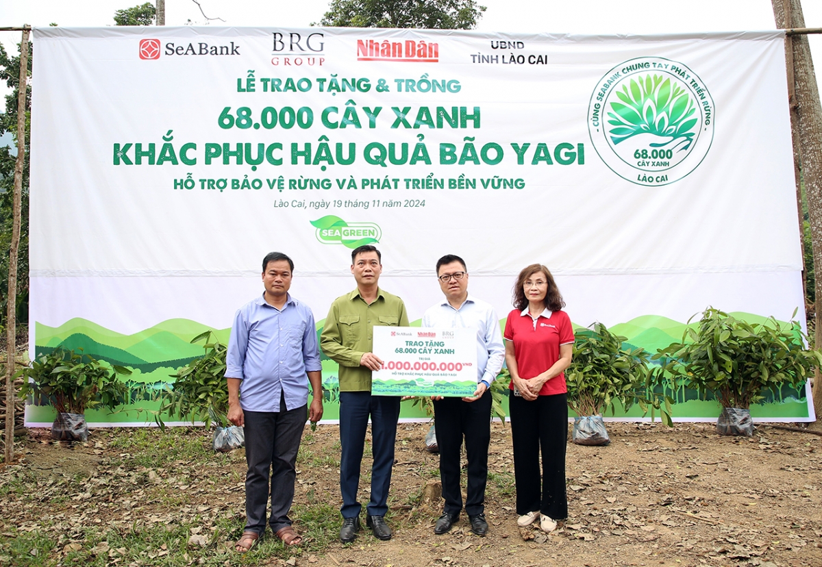 seabank cung tap doan brg trong 68.000 cay phu xanh gan 20ha rung tai lao cai hinh anh 3