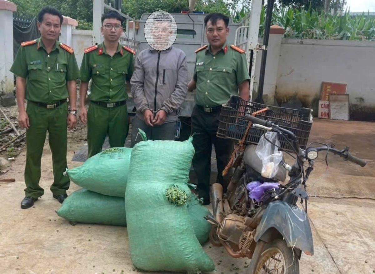 Nam thanh niên bị bắt khi đem bán cà phê vừa hái trộm