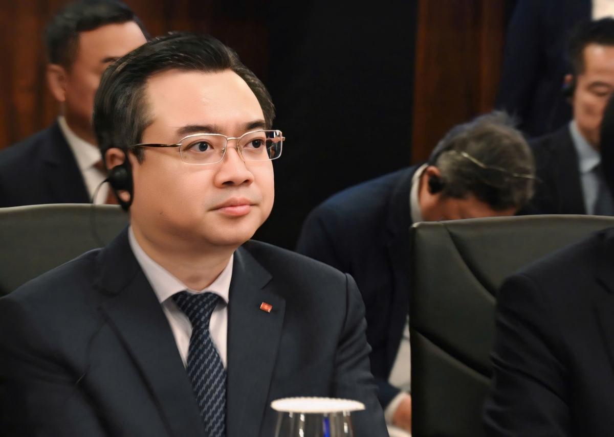 viet nam va dominicana thuc day hop tac san xuat vat lieu xay dung hinh anh 2
