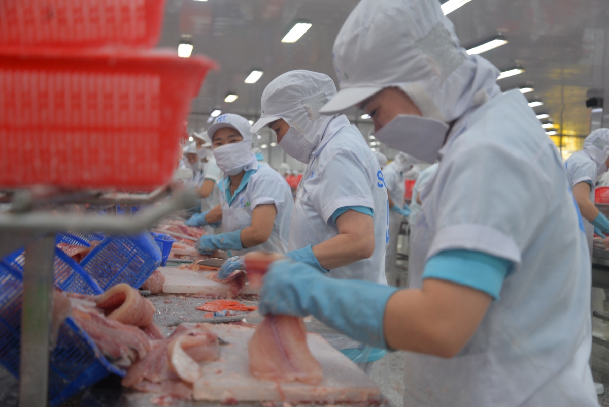 Nhiều hoạt động tại ngày hội cá tra Đồng Tháp