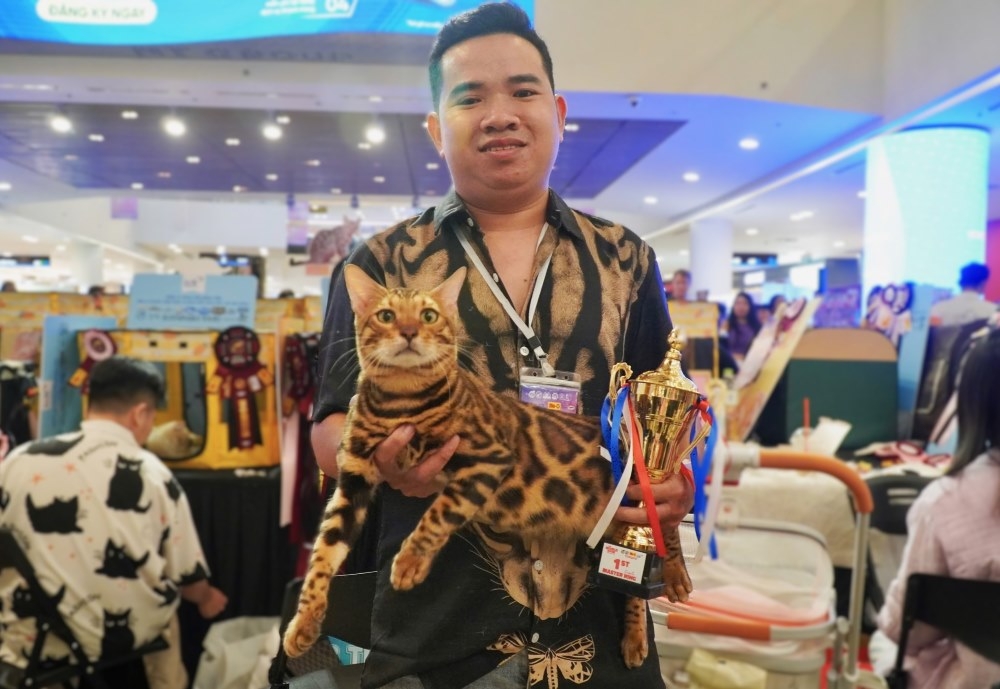 vietnam wins international cat breed show in ho chi minh city picture 1