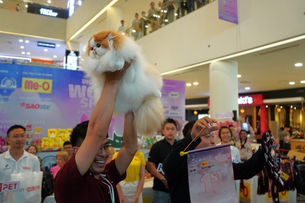 vietnam wins international cat breed show in ho chi minh city picture 2