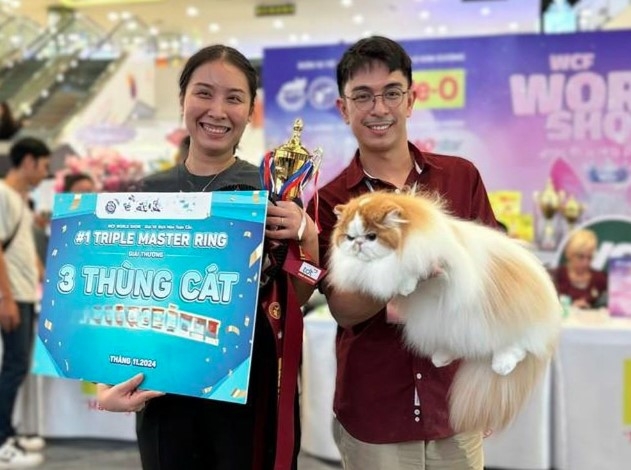 vietnam wins international cat breed show in ho chi minh city picture 3