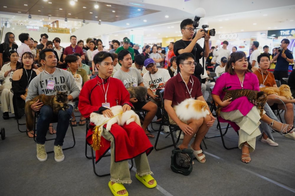 vietnam wins international cat breed show in ho chi minh city picture 5