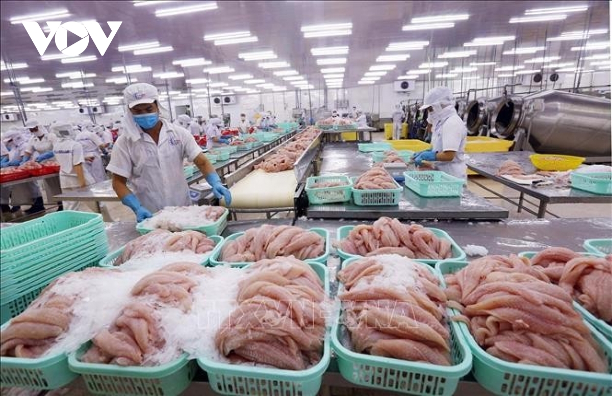 pangasius exports to canada see 10 over 10 months picture 1