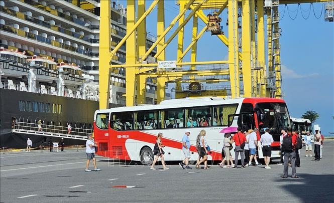 cruise ship noordam brings nearly 2,000 foreign arrivals to da nang picture 1