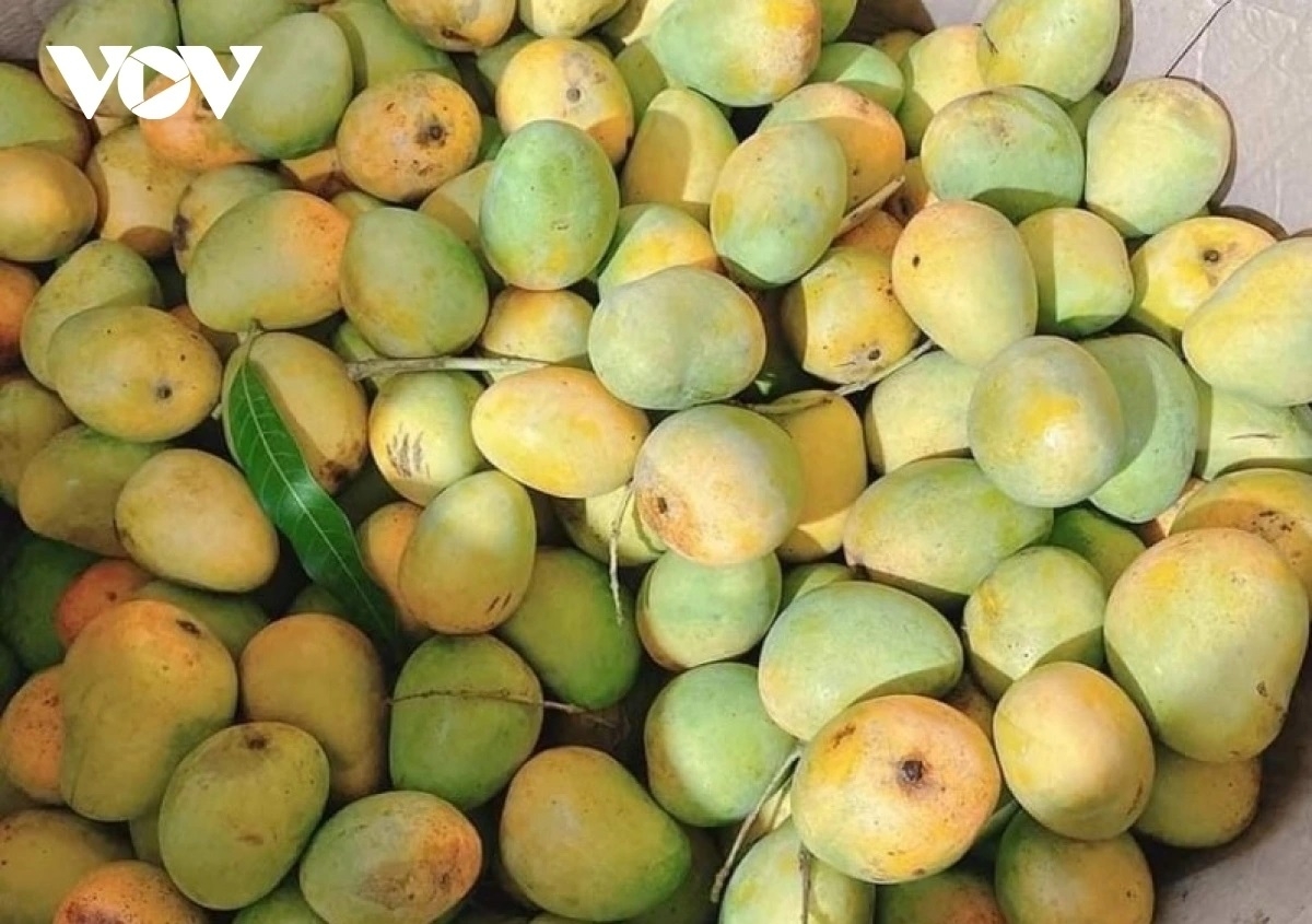 Sơn La xây dựng thương hiệu nông sản địa phương