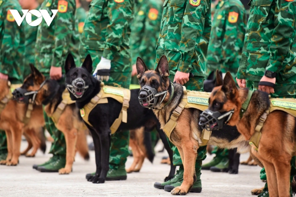 commandos show combat skills ahead of international defence expo 2024 picture 9