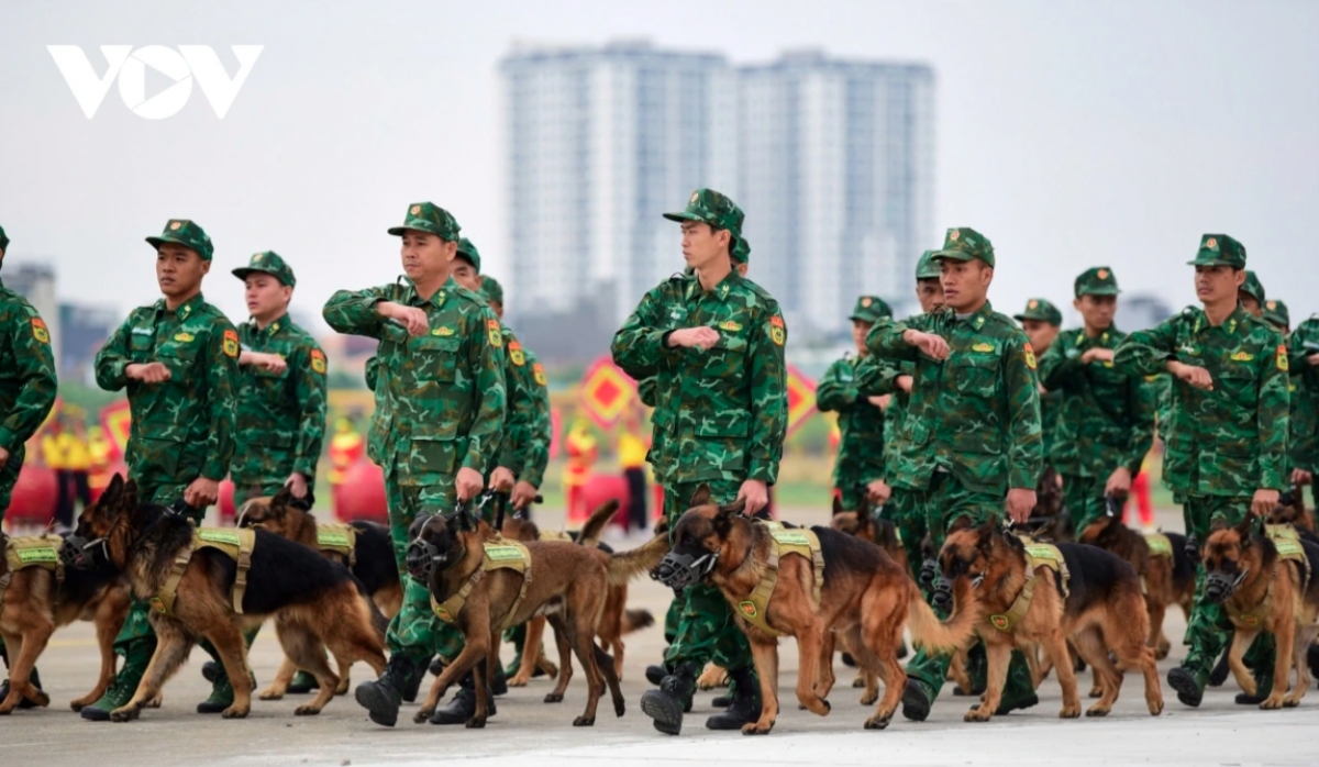 commandos show combat skills ahead of international defence expo 2024 picture 8