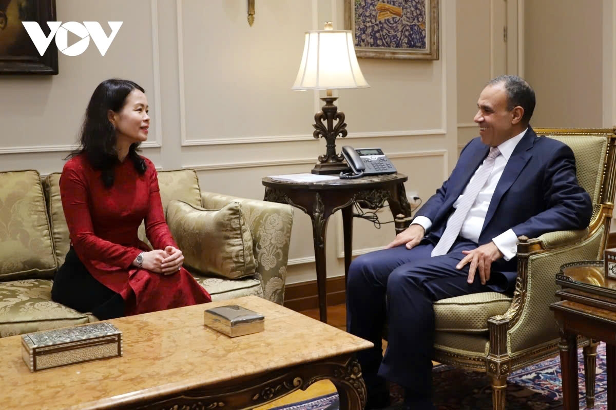 vietnam and egypt hold political consultation in cairo picture 1 vietnam and egypt hold political consultation in cairo picture 1