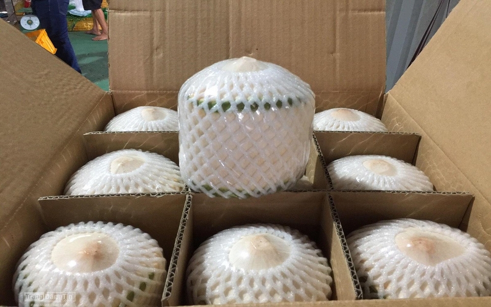 Fresh Vietnamese coconut exports to US skyrocket