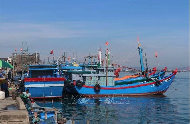 quang nam aims to deal with three no s fishing vessels in november picture 1