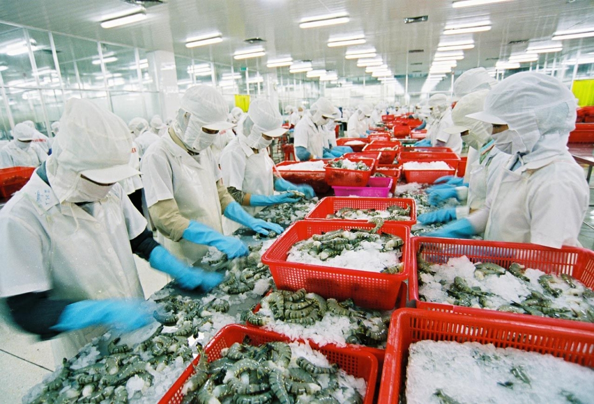 shrimp exports likely to fetch us 4 billion this year picture 1