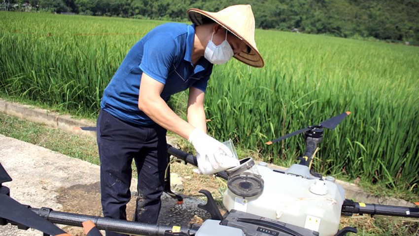 Hiểu và sử dụng đúng thuốc bảo vệ thực vật thúc đẩy xuất khẩu nông sản