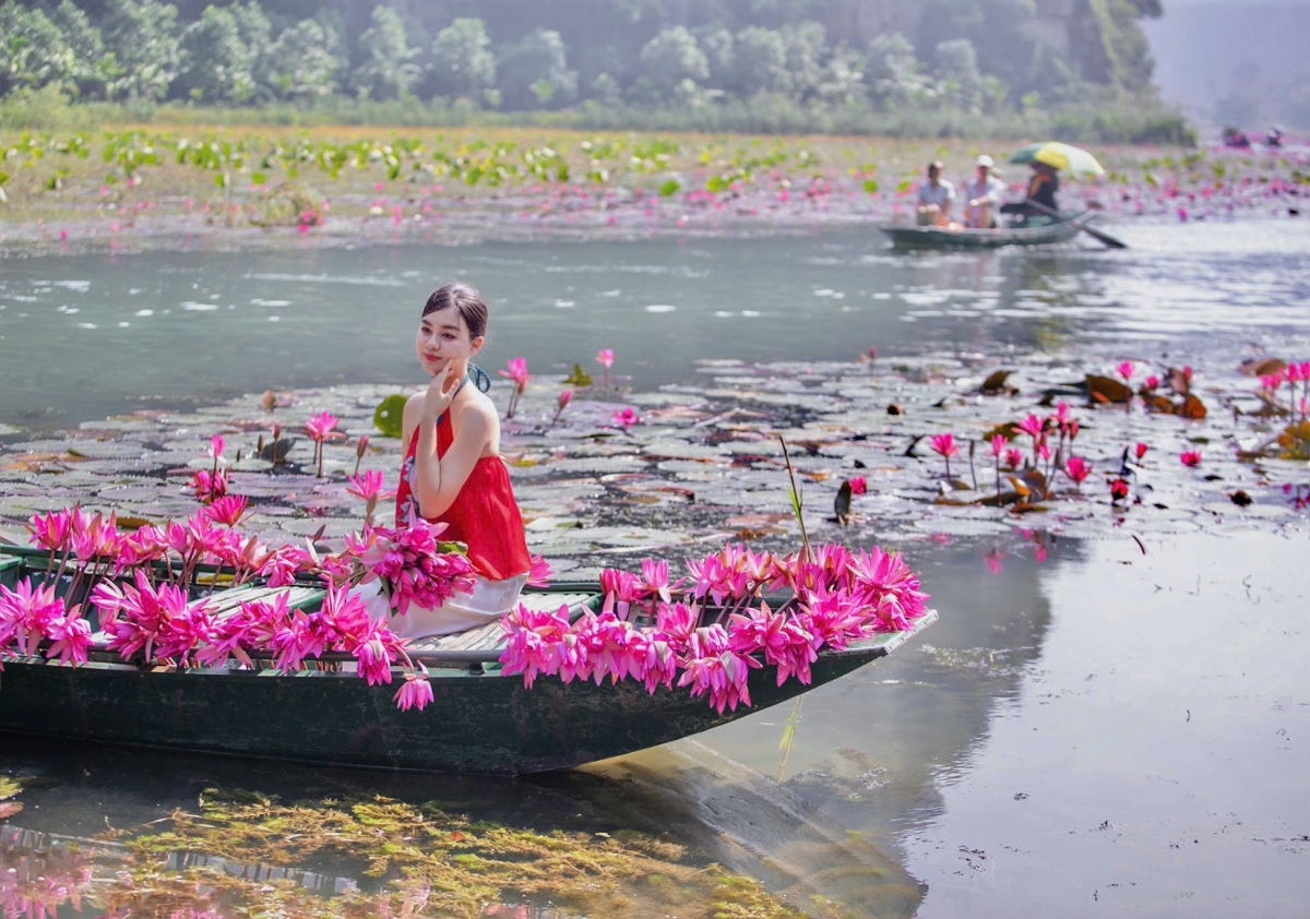 tam coc dep tinh khoi mua hoa sung no ro hinh anh 4