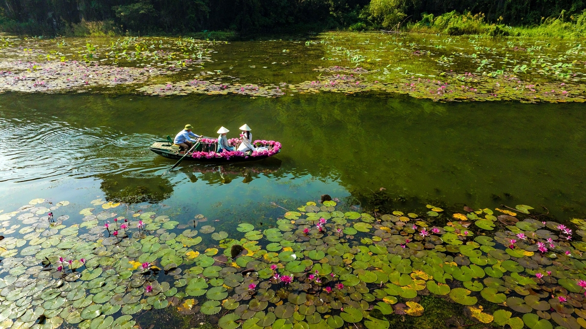 tam coc dep tinh khoi mua hoa sung no ro hinh anh 1