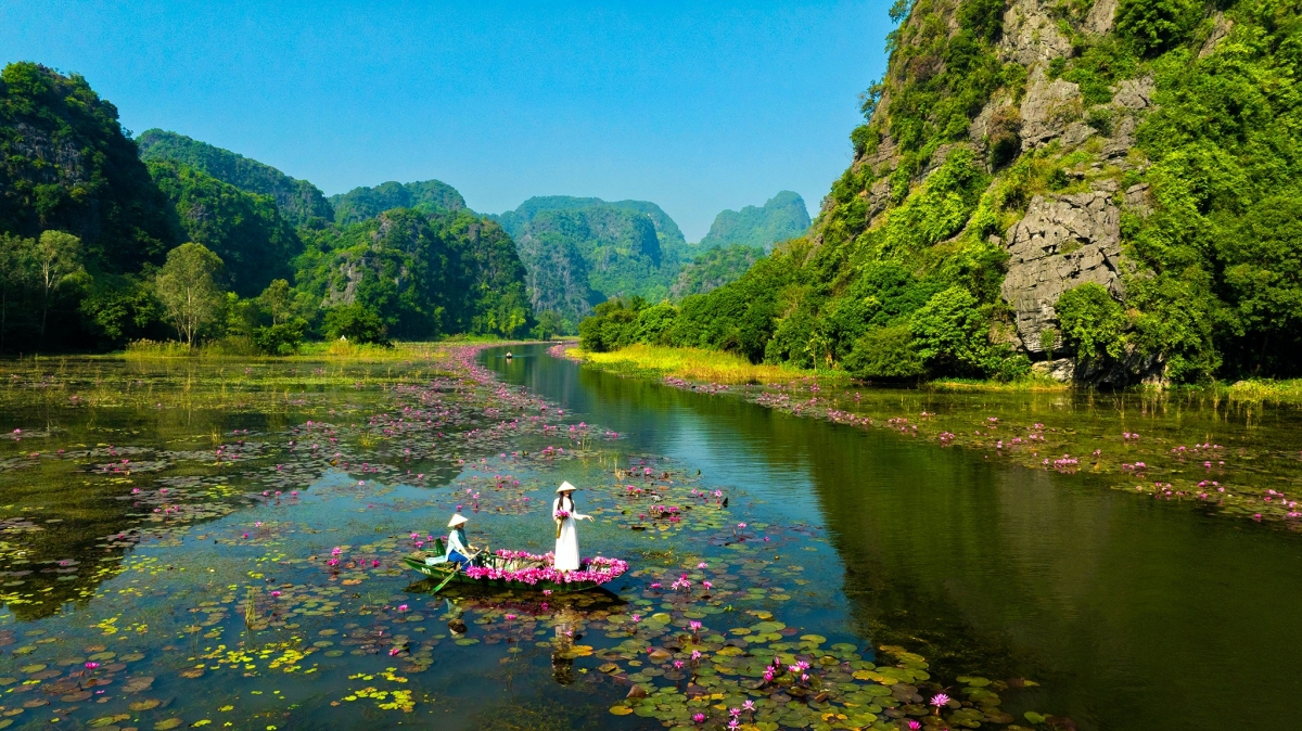 tam coc dep tinh khoi mua hoa sung no ro hinh anh 5