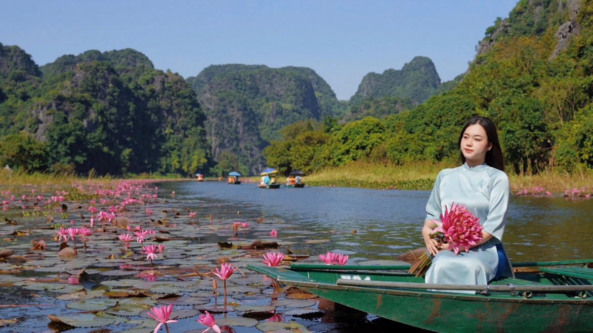 tam coc dep tinh khoi mua hoa sung no ro hinh anh 3