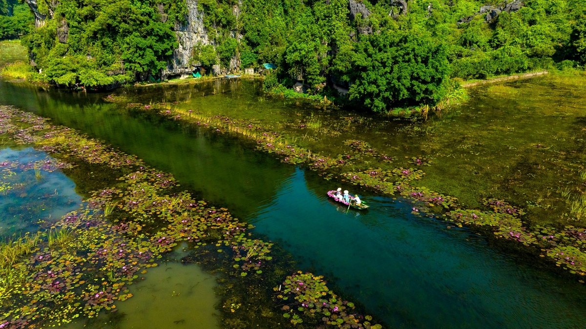 tam coc dep tinh khoi mua hoa sung no ro hinh anh 11