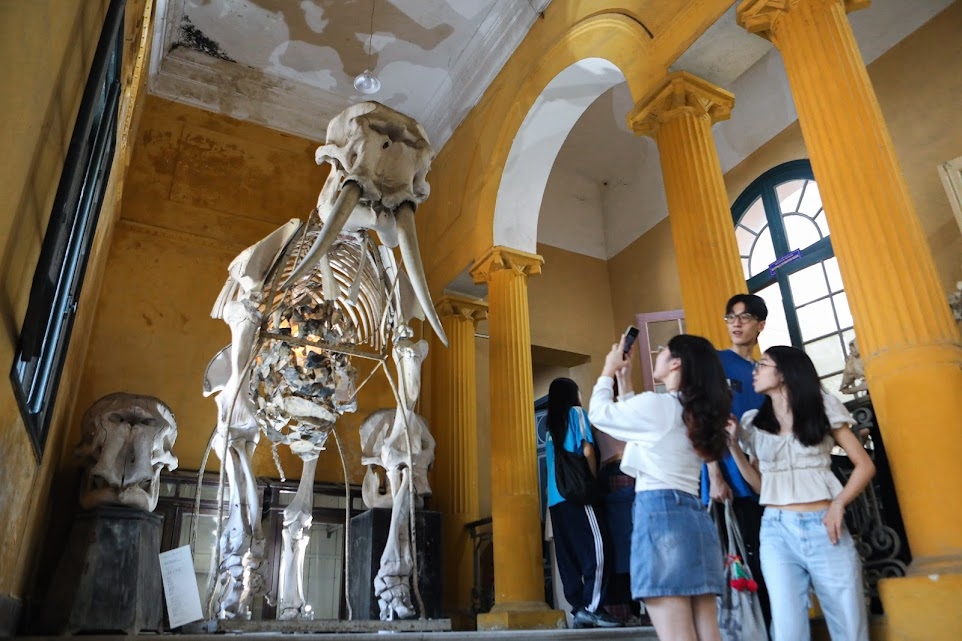 Điểm hot nhất hà nội hơn 3 vạn du khách đổ bộ khám phá lễ hội thiết kế sáng tạo hình ảnh 7 Diem hot nhat ha noi hon 3 van du khach do bo kham pha le hoi thiet ke sang tao hinh anh 7