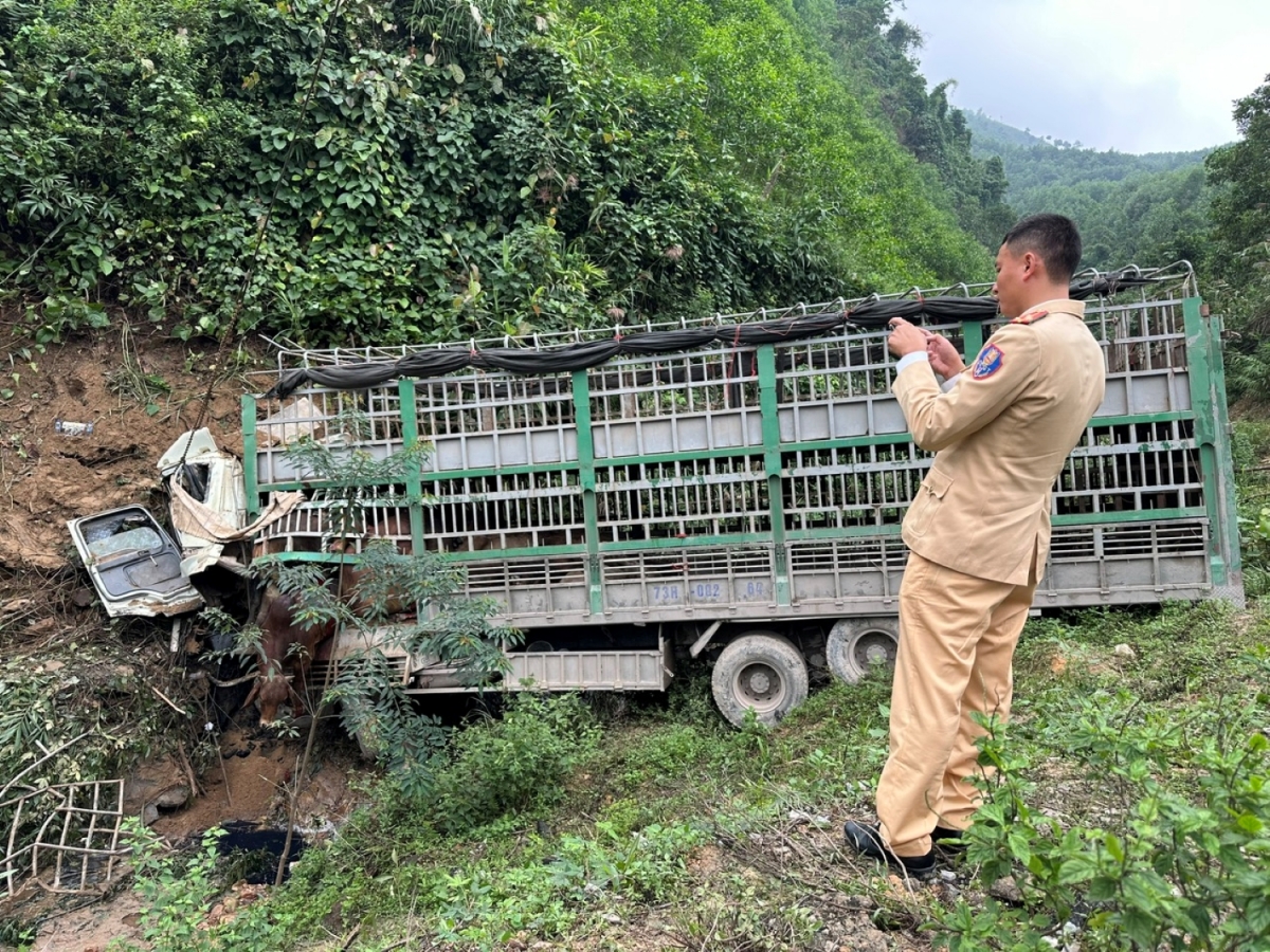 quang binh xe tai cho 34 con bo lao xuong vuc, tai xe tu vong hinh anh 1 quang binh xe tai cho 34 con bo lao xuong vuc, tai xe tu vong hinh anh 1