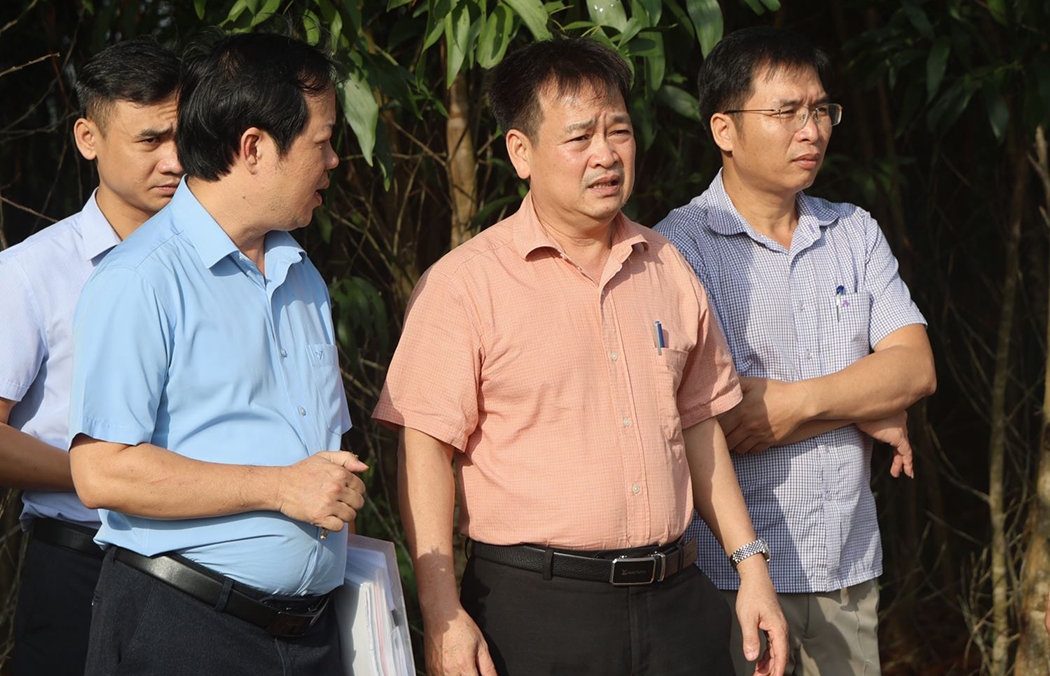 quảng ngãi giám sát việc phục hồi môi trường sau khi hết thời hạn khai thác hình ảnh 1 quang ngai giam sat viec phuc hoi moi truong sau khi het thoi han khai thac hinh anh 1