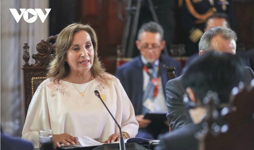 peruvian president expects vietnam to soon open diplomatic agency in lima picture 4 peruvian president expects vietnam to soon open diplomatic agency in lima picture 4
