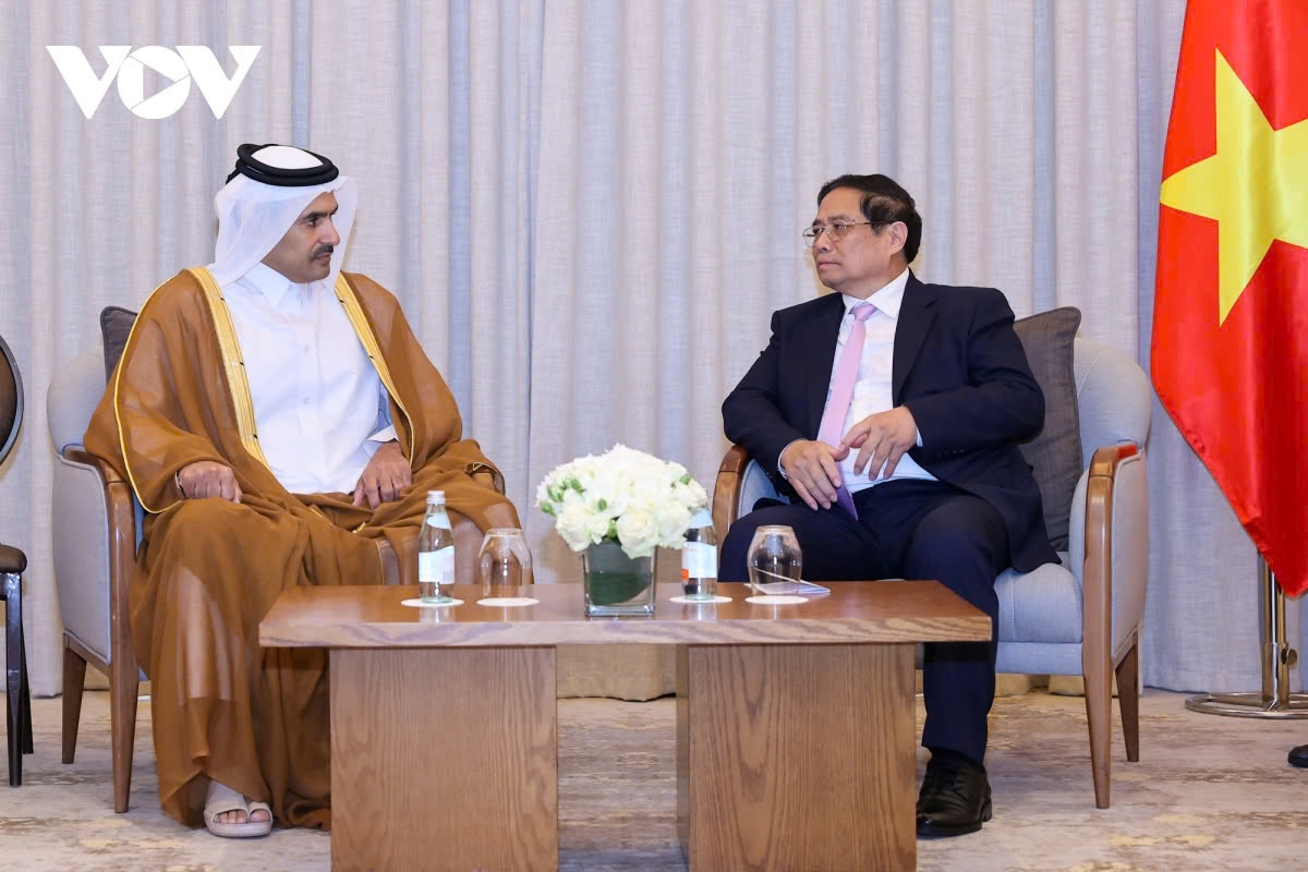 vietnam seeks qatar support in energy development picture 1 vietnam seeks qatar support in energy development picture 1