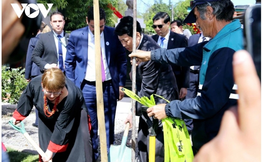 president luong cuong pays floral tribute to president ho chi minh in chile picture 6 president luong cuong pays floral tribute to president ho chi minh in chile picture 6