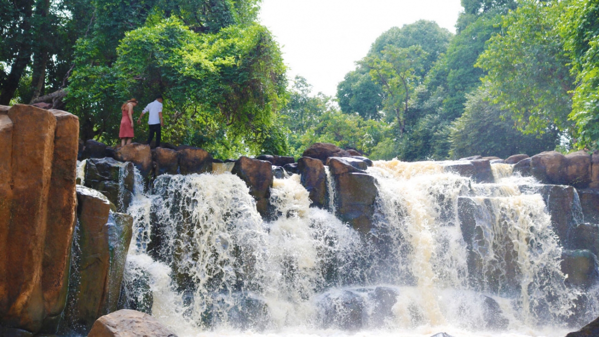 bu Dang binh phuoc tai hien hinh anh gia gao nuoi quan tren soc bom bo hinh anh 8