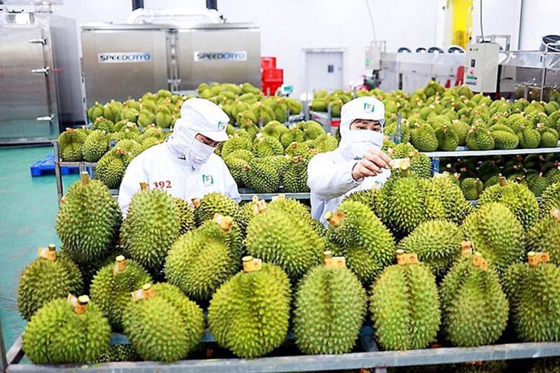 Fruit and vegetable exports likely to fetch US$7 billion this year