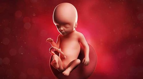Thai nhi 17 tuần tuổi thì phát hiện con có dị tật tim