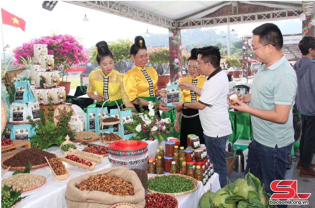 hỗ trợ doanh nghiệp, hợp tác xã sản xuất, tiêu thụ nông sản hình ảnh 1 ho tro doanh nghiep, hop tac xa san xuat, tieu thu nong san hinh anh 1
