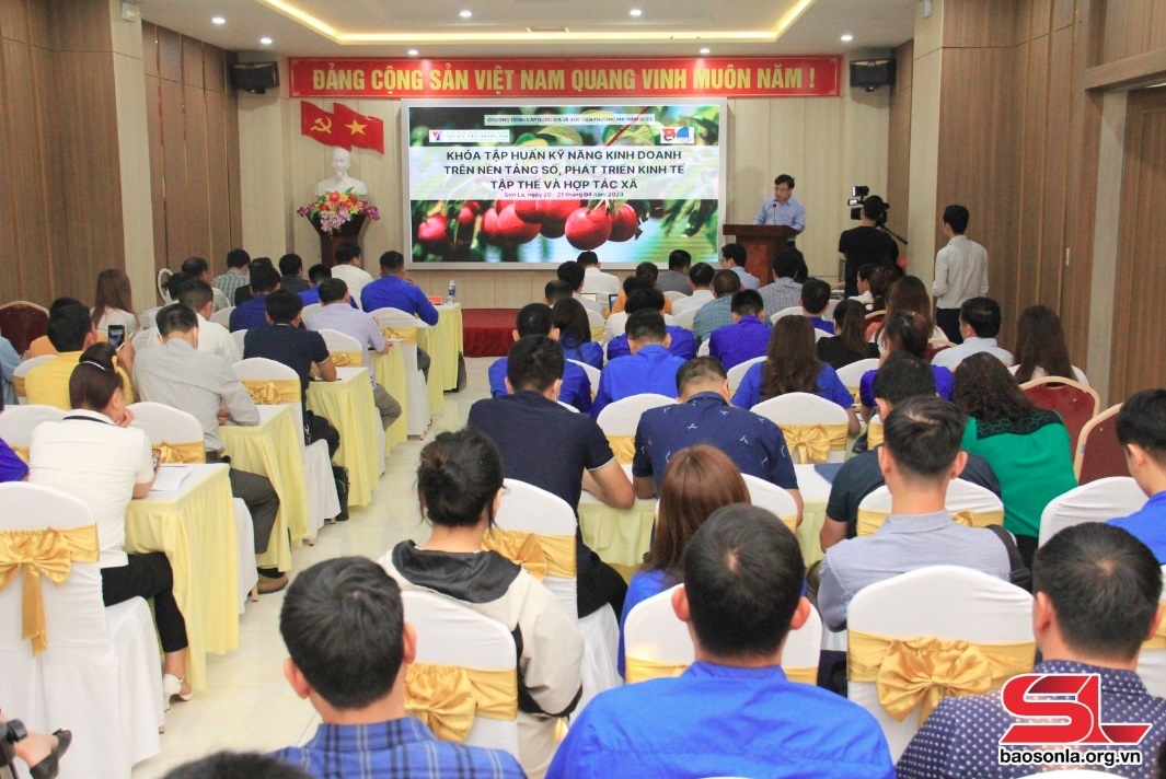 hỗ trợ doanh nghiệp, hợp tác xã sản xuất, tiêu thụ nông sản hình ảnh 2 ho tro doanh nghiep, hop tac xa san xuat, tieu thu nong san hinh anh 2
