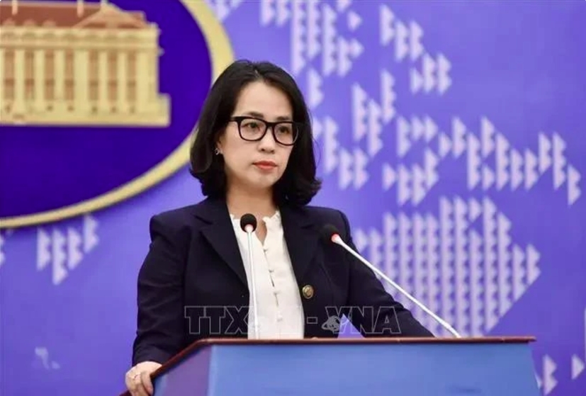 vietnam welcomes israel-hezbollah ceasefire agreement spokeswoman picture 1