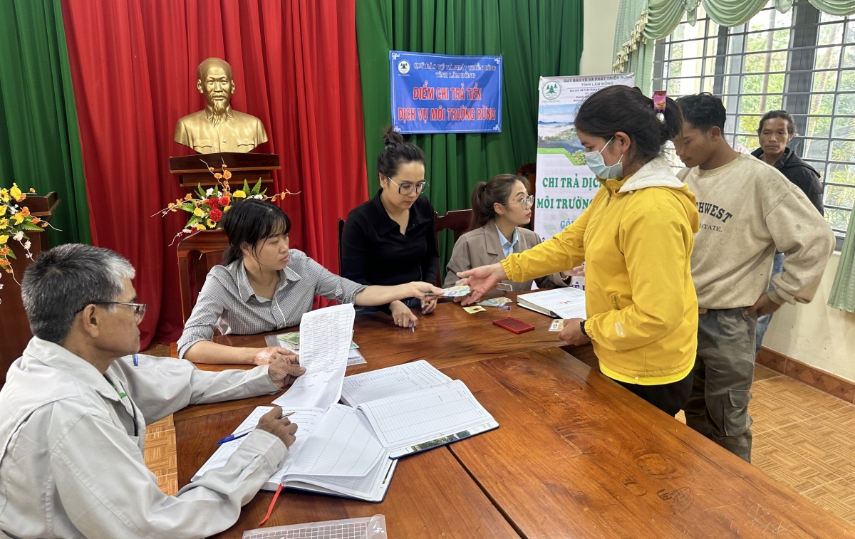 Tác động của chính sách chi trả dịch vụ môi trường rừng ở Lâm Đồng