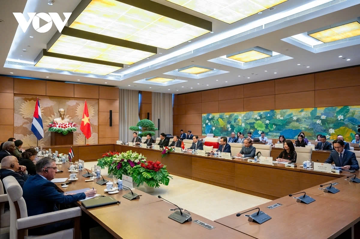 vietnam and cuba vow to foster close bond, special solidarity, multifaceted cooperation picture 2 vietnam and cuba vow to foster close bond, special solidarity, multifaceted cooperation picture 2