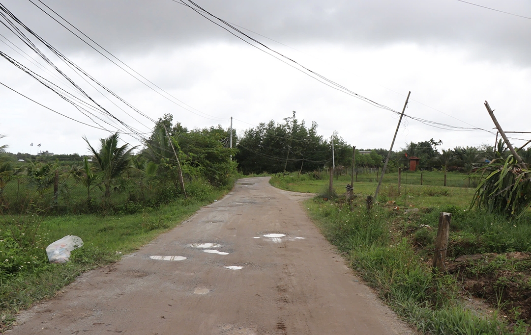  coi troi giup hon 120 ho dan o quang ngai ra khoi quy hoach treo hinh anh 1