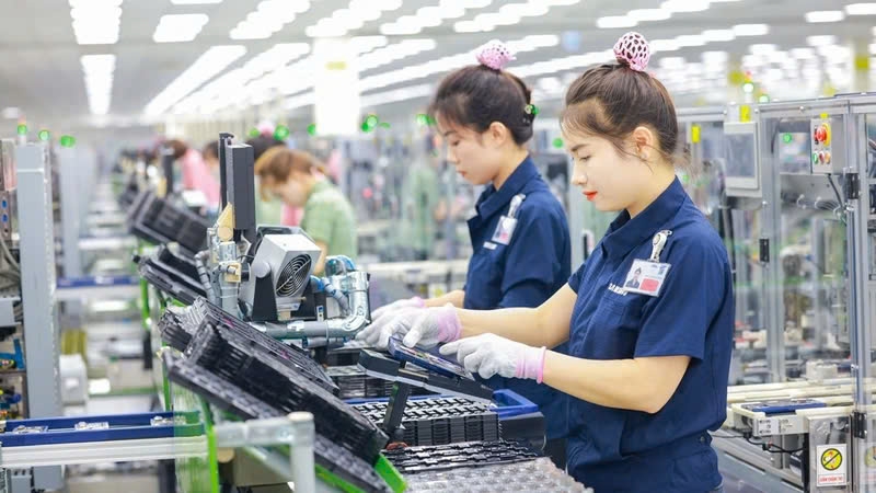 wto membership bears fruit for vietnam after 18 years of admission picture 3 wto membership bears fruit for vietnam after 18 years of admission picture 3