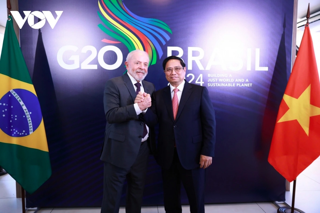 vn, brazil issue joint statement on elevating ties to strategic partnership picture 1