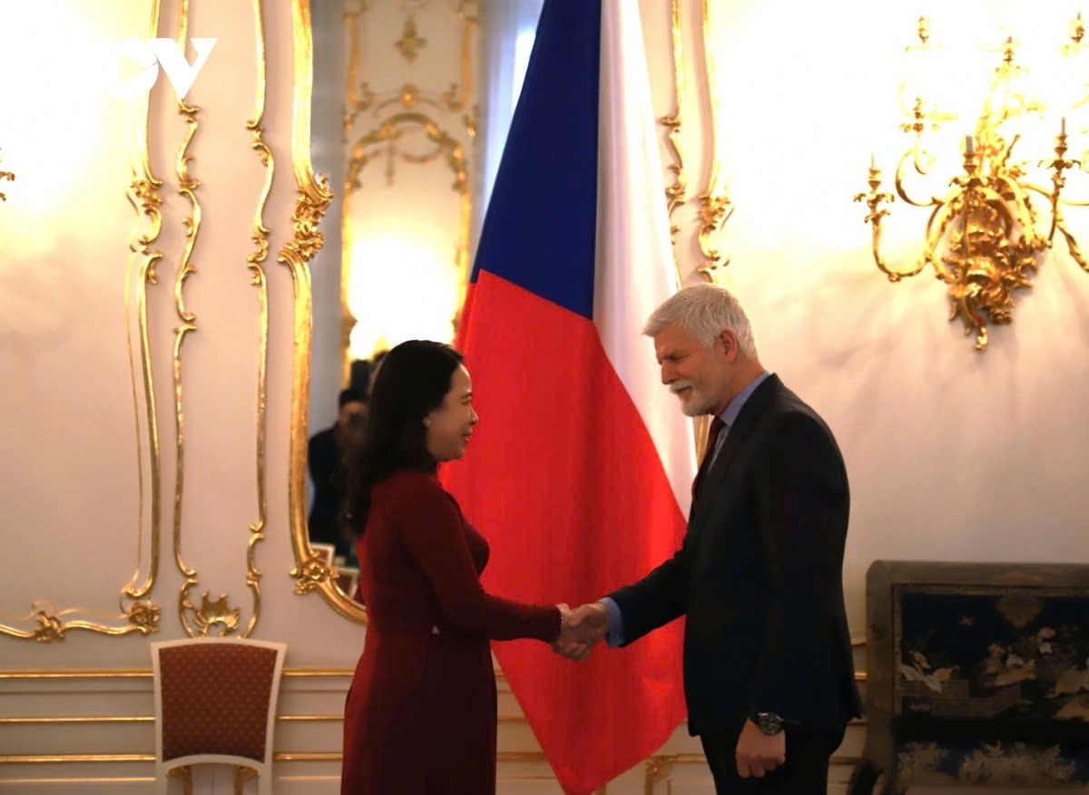 czech republic is vietnam s leading partner in central europe, says vice president picture 1 czech republic is vietnam s leading partner in central europe, says vice president picture 1